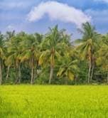 Crop Husbandry