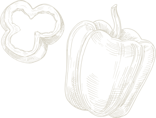 shape